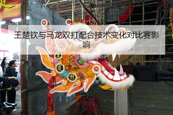王楚钦与马龙双打配合技术变化对比赛影响